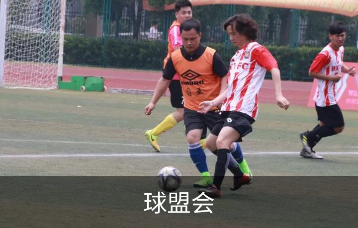 球盟会概况